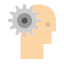 brain